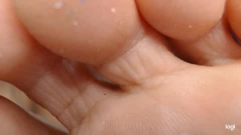 ashley online show from October 21, 3:55 am