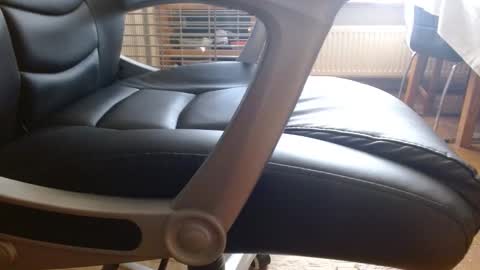 Ashwin online show from November 9, 1:36 pm