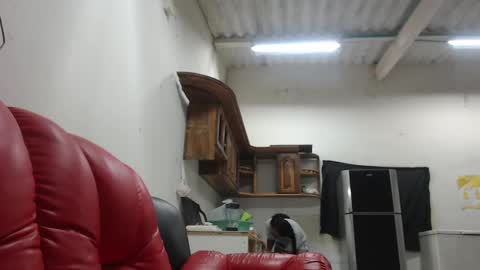 Snapshot of ava_f0xy chatting on February 1, 2:37 am Ava Jordana online show from February 1, 2:37 am