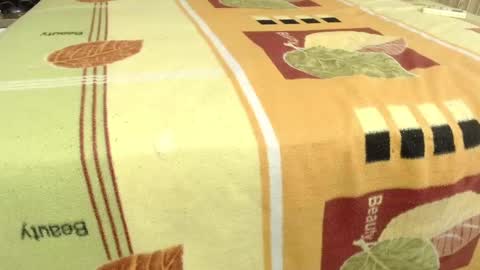 axeelwolf online show from March 1, 7:48 pm