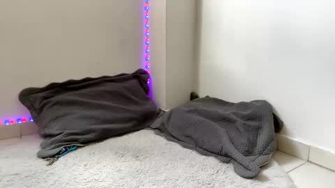 babycrazy24love online show from March 2, 5:47 pm