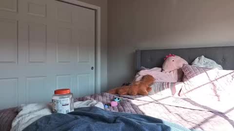 bambifarrina online show from October 28, 7:48 pm