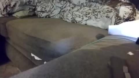 barrett4200 online show from January 20, 12:15 am