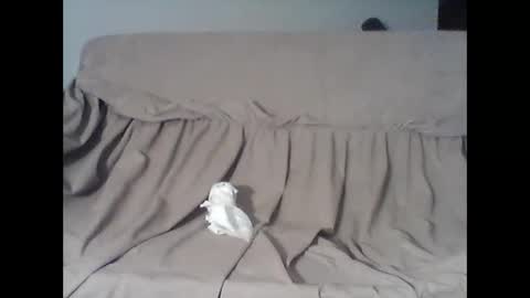 barrysand online show from November 11, 4:14 am