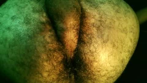 bayfall online show from December 18, 8:59 pm