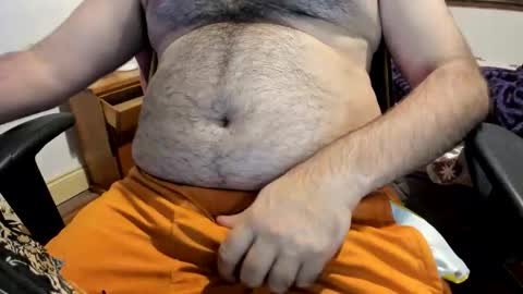 DOM bear online show from April 9, 6:41 am