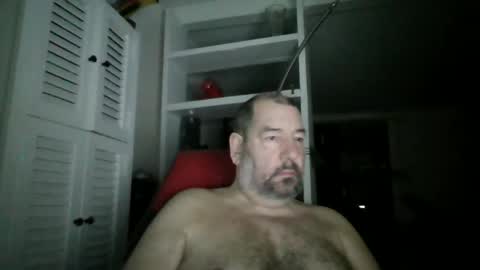 Snapshot of bearacuda555 chatting on December 7, 10:39 am Bruno online show from December 7, 10:39 am