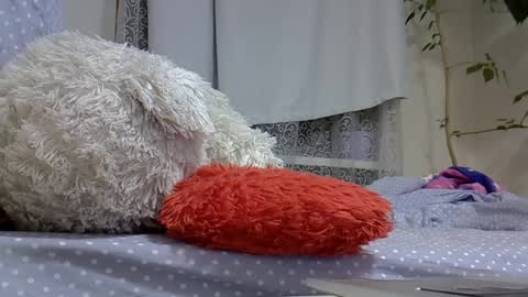 BeatriceTender online show from March 2, 7:45 pm