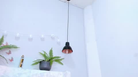 Bellota Flak online show from February 26, 8:17 am