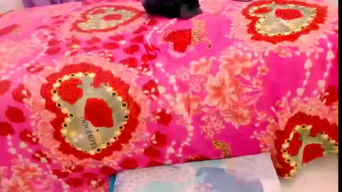 bellota online show from September 25, 12:39 am