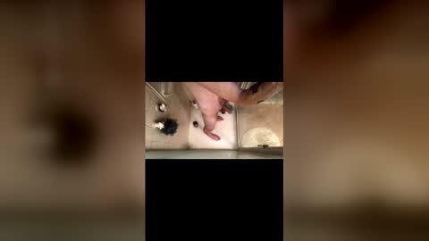 bendover4ne1 online show from November 30, 3:08 pm