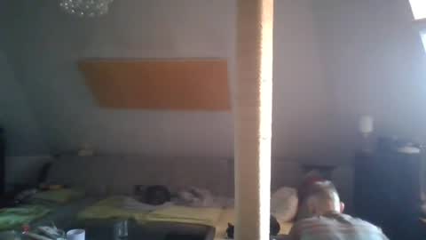 benizio online show from December 8, 1:36 pm