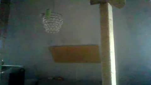 benizio online show from January 24, 2:41 pm