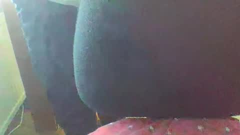 bestmann979994 online show from April 23, 12:13 pm