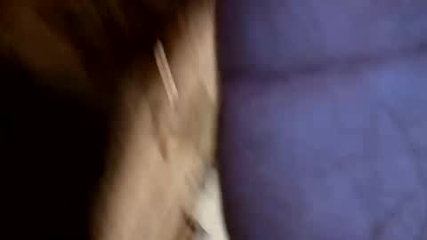 big_usa online show from February 3, 8:51 am