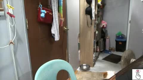 bigboobslyn online show from March 14, 8:40 am