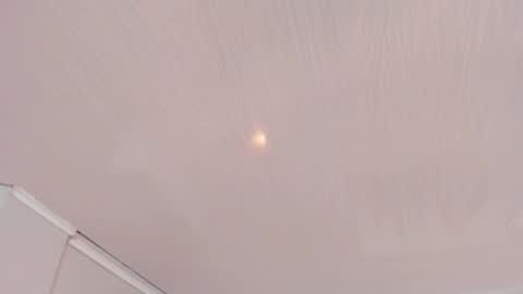   online show from February 1, 10:01 am