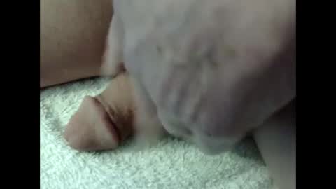 bigdipper58 online show from February 23, 5:18 pm