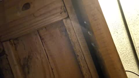 bigeallnight online show from February 12, 2:54 pm