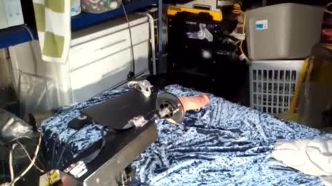 bigmanaround9 online show from October 14, 8:56 pm