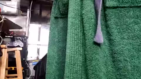 bigmanaround9 online show from December 5, 11:01 pm