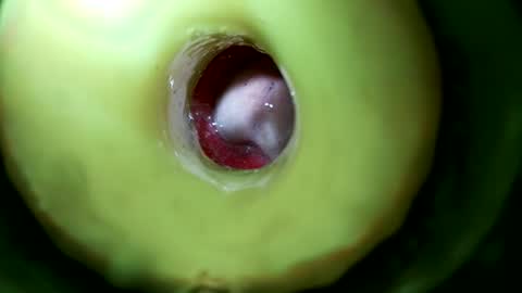 bigmoneycorey online show from April 23, 5:36 pm