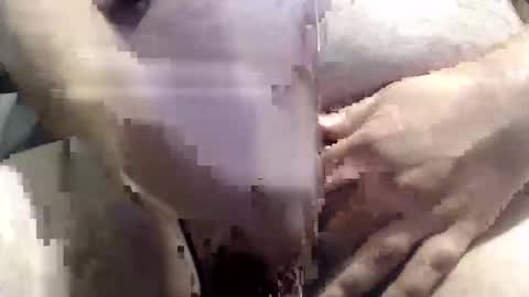 Snapshot of bigstudjohn22 chatting on November 1, 10:36 am bigstudjohn22 online show from November 1, 10:36 am