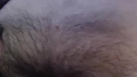 Snapshot of bigstudjohn22 chatting on October 27, 10:15 am bigstudjohn22 online show from October 27, 10:15 am