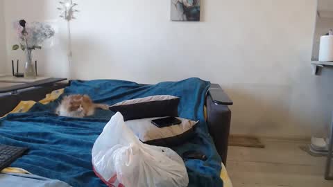 BigTwinsOmg online show from March 17, 6:51 am