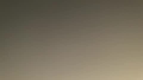 bill95099 online show from January 15, 4:43 pm