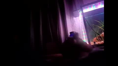 binhodm1 online show from February 23, 4:14 am