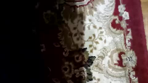 bitopak online show from December 16, 3:51 pm