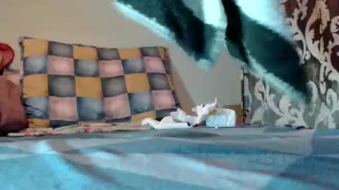 Snapshot of bivolarut30 chatting on March 10, 9:07 pm if you love pussy give 1 token - im a poor girl any token counts-my shop video pussy  virgina  hairy pussy 1 token online show from March 10, 9:07 pm