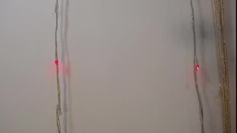 black_king_241 online show from February 1, 2:30 am