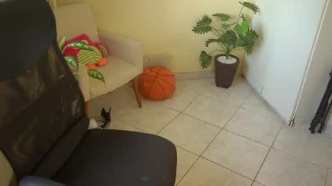 FLORAA online show from March 11, 10:51 am