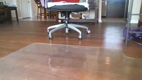 FRECKLES online show from March 6, 6:26 pm