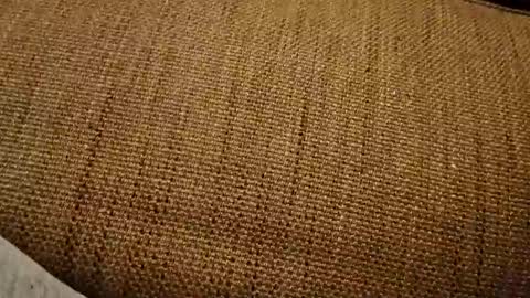 bonny8723 online show from March 1, 10:36 pm