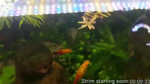 Booker Baxton online show from October 7, 3:02 am