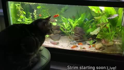 Booker Baxton online show from March 18, 3:12 am