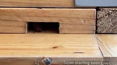 Booker Baxton online show from October 22, 3:10 am