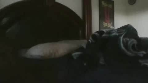 boooohoooobaby online show from April 22, 11:23 pm