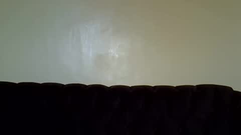 bootieshakess online show from November 28, 8:43 am