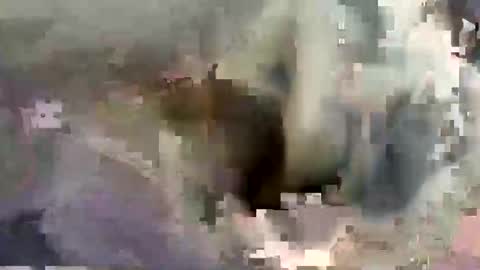 bossram160 online show from November 5, 9:44 am