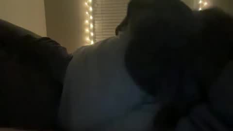 BoyToyBenny online show from January 16, 10:35 am