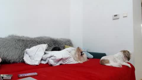 bratzdoll1994 online show from November 4, 5:14 pm