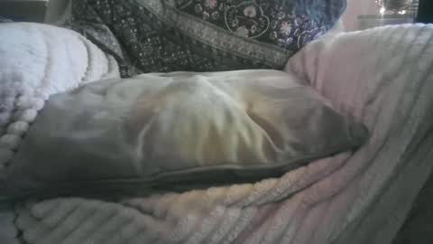 raining down on me online show from September 12, 6:43 pm