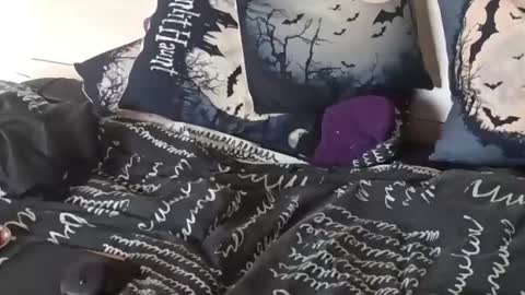 Snapshot of bright_mind chatting on February 4, 2:32 pm bright_mind online show from February 4, 2:32 pm