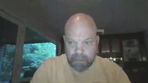 bulldog302w online show from April 17, 10:28 am