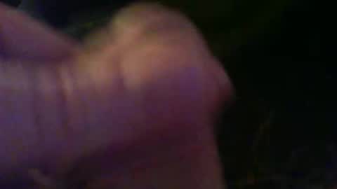 bullemoe online show from November 1, 11:15 pm