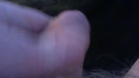 bullemoe online show from February 1, 3:20 pm